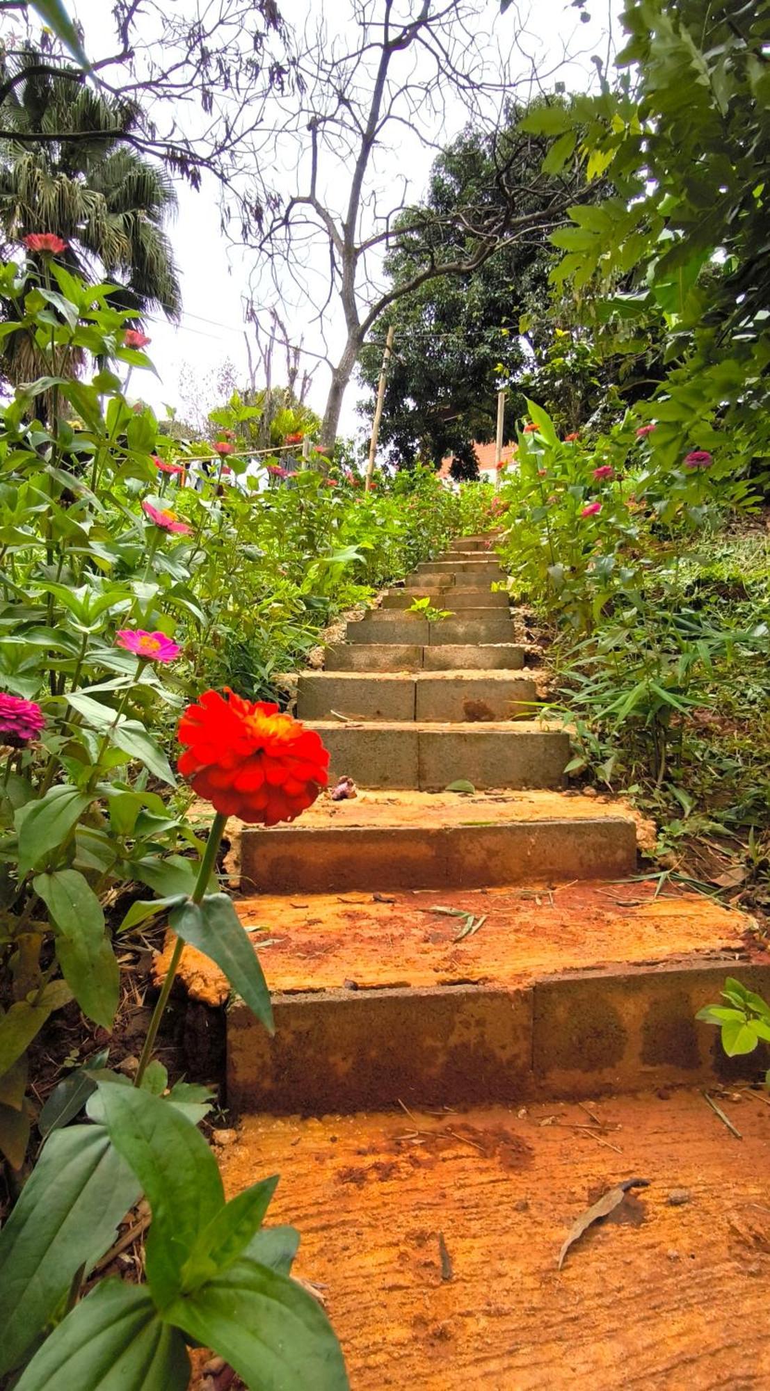 Peamoo Homestay 촘통 외부 사진